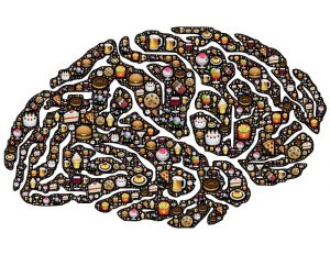 Brain made of food